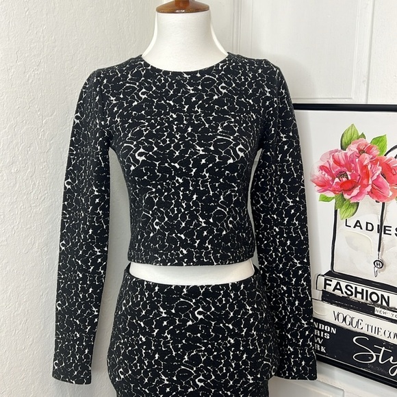 Alice & Olivia BNW Two Piece Skirt Set Size 0 & 2 - Picture 4 of 11